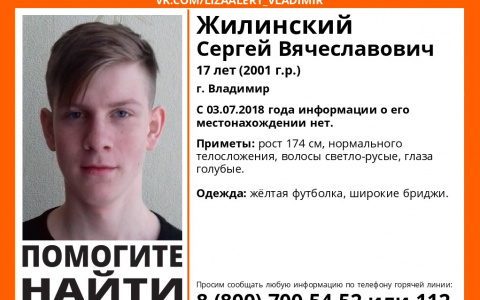 Во Владимире ищут пропавших подростка и мужчину
