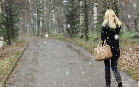 Синоптики прогнозируют дождь со снегом во Владимире