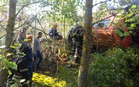 В Александровском районе грузовик слетел с дороги и перевернулся