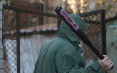 Муромский любитель бейсбола огрел битой полицейского