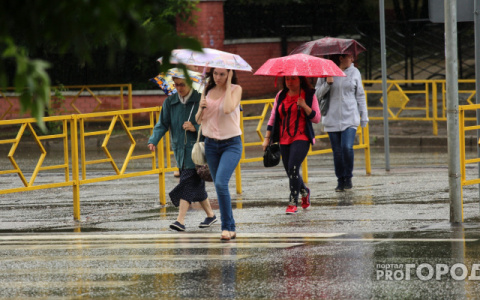 Дождь со снегом рискуют обрушиться завтра на Владимир