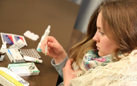 Во Владимирской области ОРВИ пробила эпидпорог