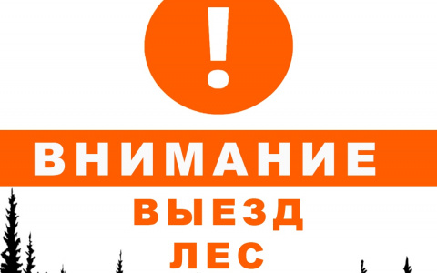 Объявлен сбор волонтеров сегодня ночью