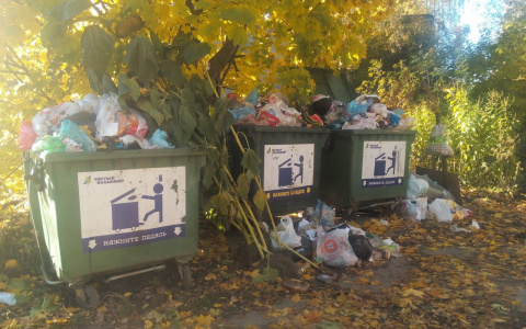 Крысы заполонили мусорку в Юрьевце из-за ремонта труб