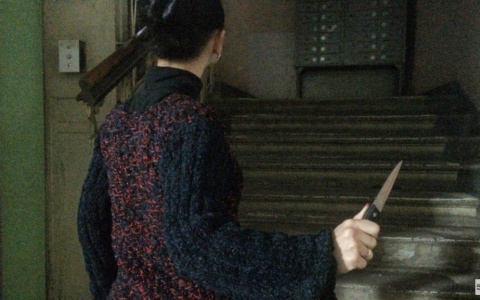 В Александрове 19-летняя девушка нанесла старушке 90 ударов ножом