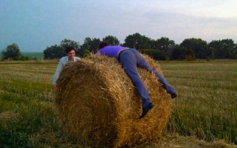 Вязниковские злоумышленники позарились на соседское сено