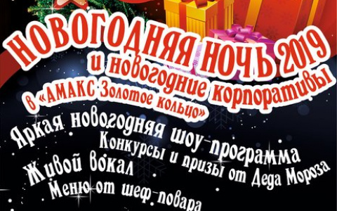 Новый год 2019 в ГРК «АМАКС Золотое кольцо» г. Владимир