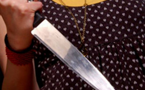 Женщина заколола гражданского мужа ножом в Вязниках