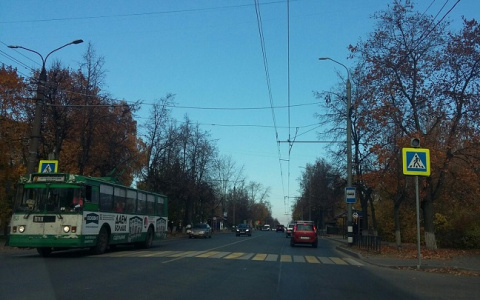 Во Владимирской области на пешеходном переходе сбили школьницу
