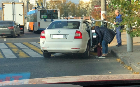 Во Владимире мать остановила авто на переходе, чтобы ребенок сходил в туалет
