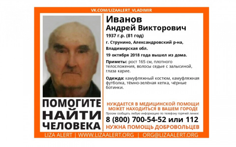 Владимирцев просят помочь в поисках пожилого жителя Струнино