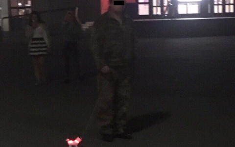 Житель Владимира выгуливал игрушечную собаку