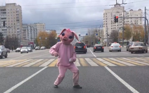 Позитивный хряк взорвал соцсети зажигательными танцами на дороге (видео)