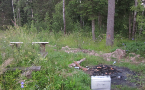 Убийство в Александрове: мужчину  жестоко зарезали  в лесу