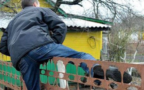 Кольчугинский дачный вор похитил чужой алкоголь на кругленькую сумму