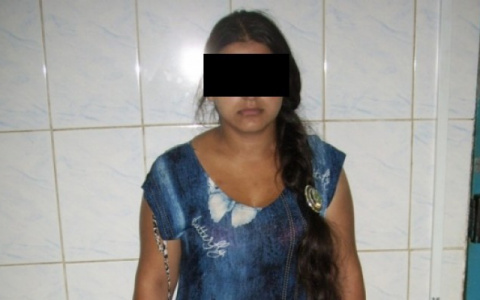 В Коврове цыганка обокрала пенсионерку, пока та кормила котов