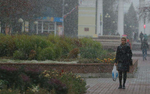 Завтра столбики владимирских термометров устремятся ввысь