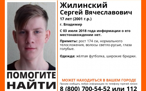 Во Владимирской области ищут 17-летнего парня, пропавшего летом