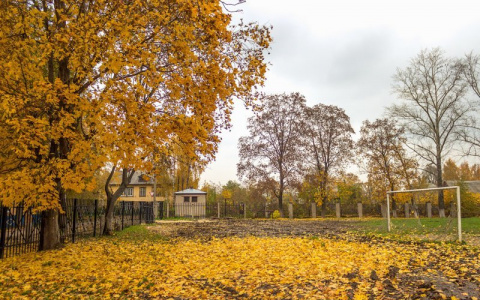 Завтра во Владимире без осадков, ночью и утром  гололедица