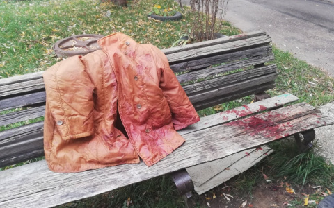 Молодой человек, избивший старушку на Разина, пойдет под суд