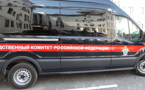 В лесу в Кольчугинском районе нашли обгоревшее тело мужчины