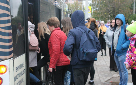 Жители  улицы Балакирева массово жалуются на отмену автобусов