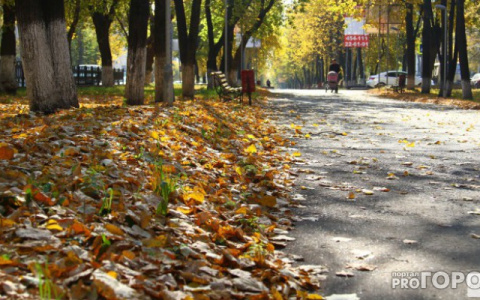 В воскресенье во Владимире будет прохладно, но солнечно