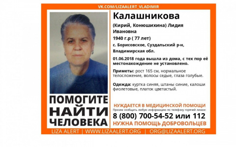 Владимирцев просят помочь в поисках пожилой женщины, пропавшей еще летом