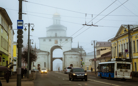 Владимир за неделю: губернаторские итоги, увеличение смертности и избиение в троллейбусе