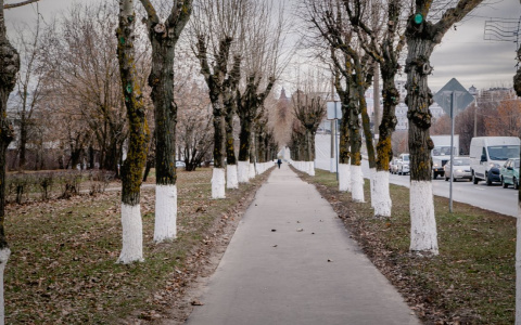Во Владимирской области южный ветер решил задержаться еще на день