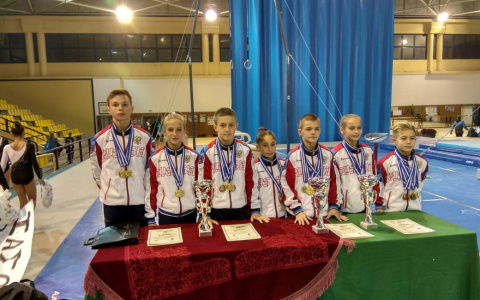 Владимирские гимнасты подтвердили звание сильнейших спортсменов в Европе