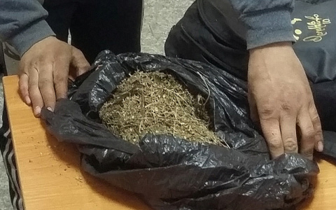 В Суздале полицейские поймали двух «барыг» с мешком марихуаны