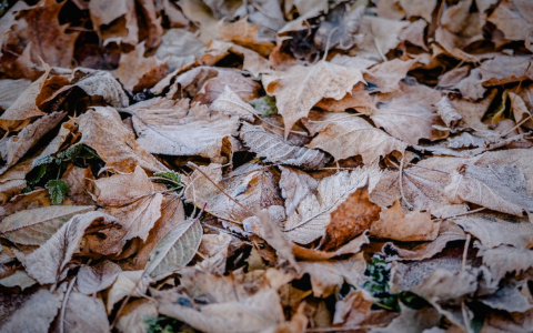 Погода во Владимире и области на 18 ноября