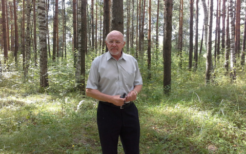 Директор лесничества в Петушинском районе подозревается во взятке