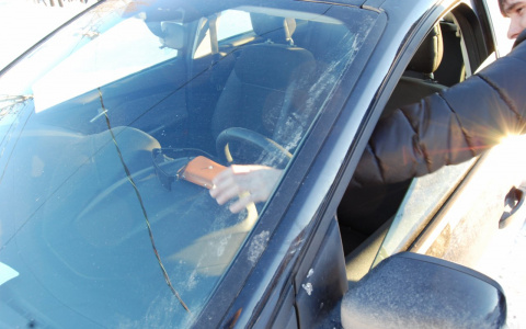 У магазина продукты, у друга телефон: парень из Кольчугино пойдет под суд