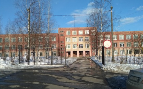 Вспышка пневмонии во владимирских школах: еще шесть заболевших