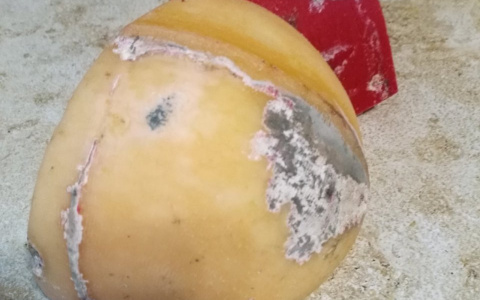 Скрепки, плесень и НЛО в еде: неожиданные «сюрпризы» из владимирских магазинов