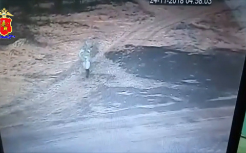 Видео с матерью, оставившей младенца на крыльце роддома