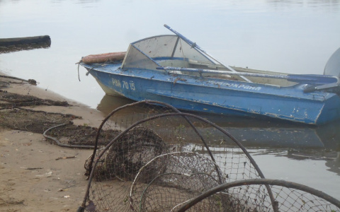 Во Владимирской области за две недели у браконьеров изъяли 14,5 кг рыбы