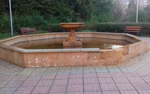 Жителю Меленок грозит до 3 месяцев ареста за дебош в городском парке