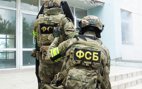 Силовики "накрыли" наркотическую ОПГ под Владимиром