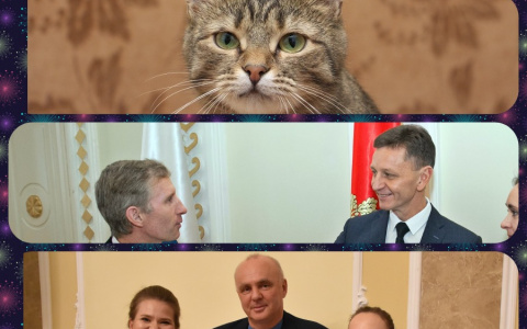 Владимир за день: поддержка семей губернатором, встреча мэрии с мамами, котики