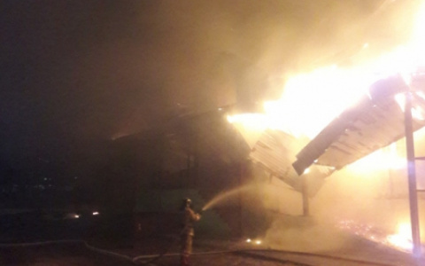 Ночью в Камешково полыхал магазин "Дикси"