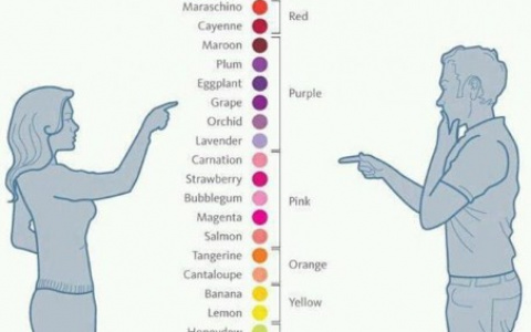 Тест дня: узнайте, как вы видите цвета и что это означает