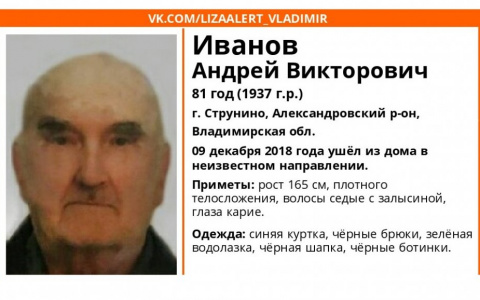 Жителей Владимирской области призывают помочь найти пожилого человека