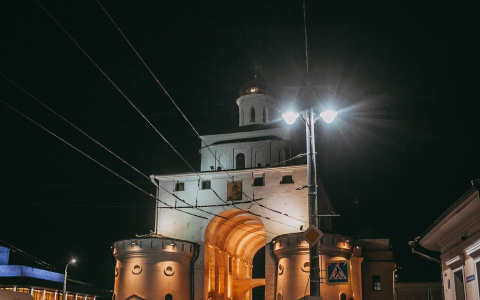 Владимир за день: авария с автобусом, дикие звери и экономный губернатор