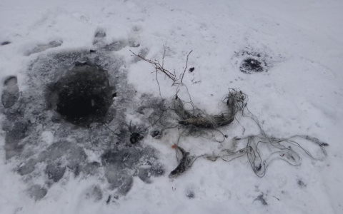 Во Владимирской области за две недели у браконьеров отняли 18 кг рыбы