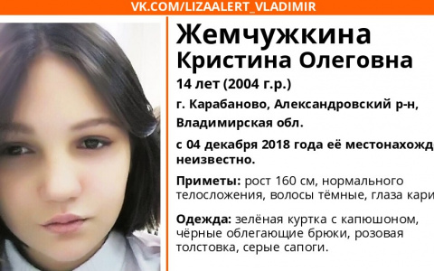 Во Владимирской области пропала 14-летняя девочка