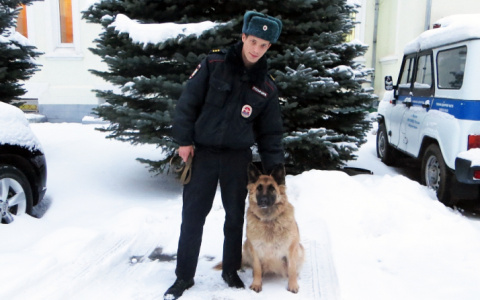 Собачья работа: в Муроме полицейский пёс помог поймать преступника