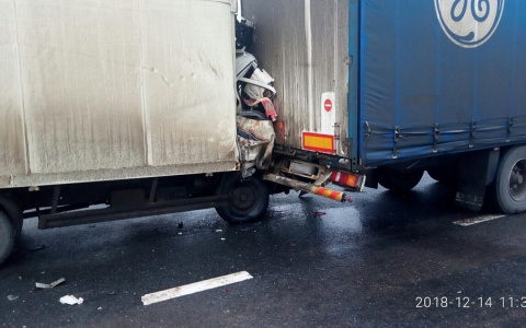 Погиб за рулем: на федеральной трассе во Владимирской области столкнулись две фуры